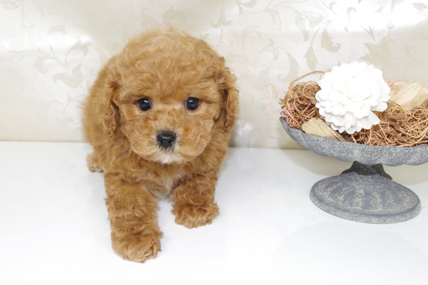 「リーダーウォーク」の方法